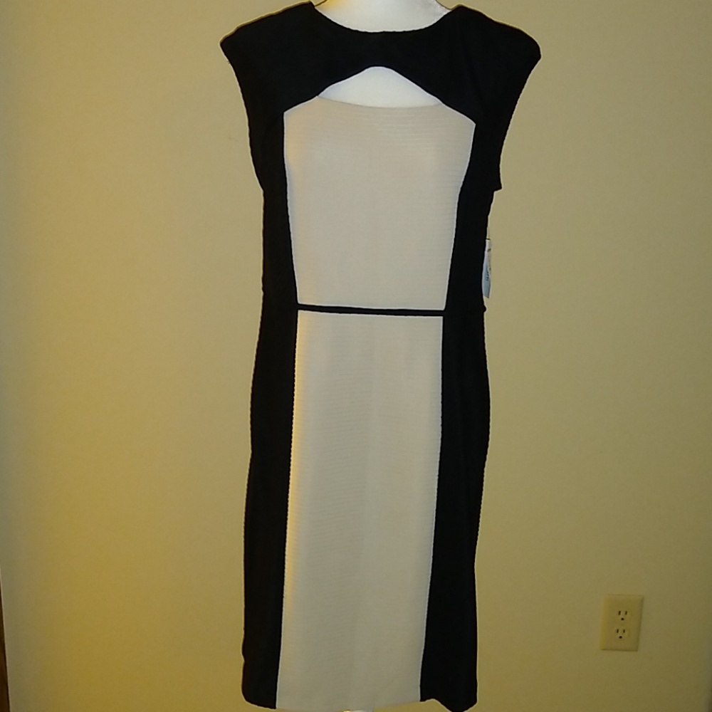 NWT Dress Barn size 12 👗